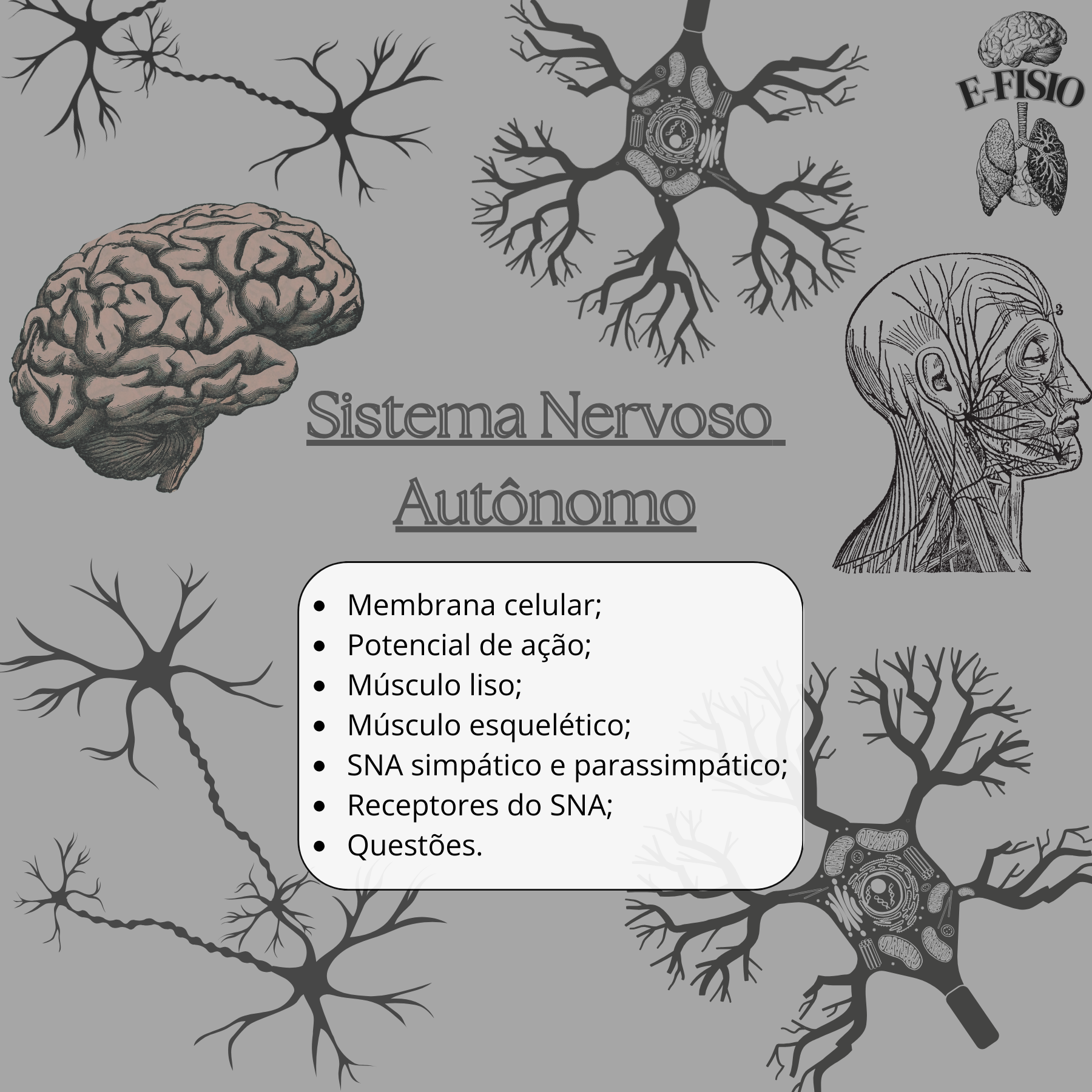 SNA